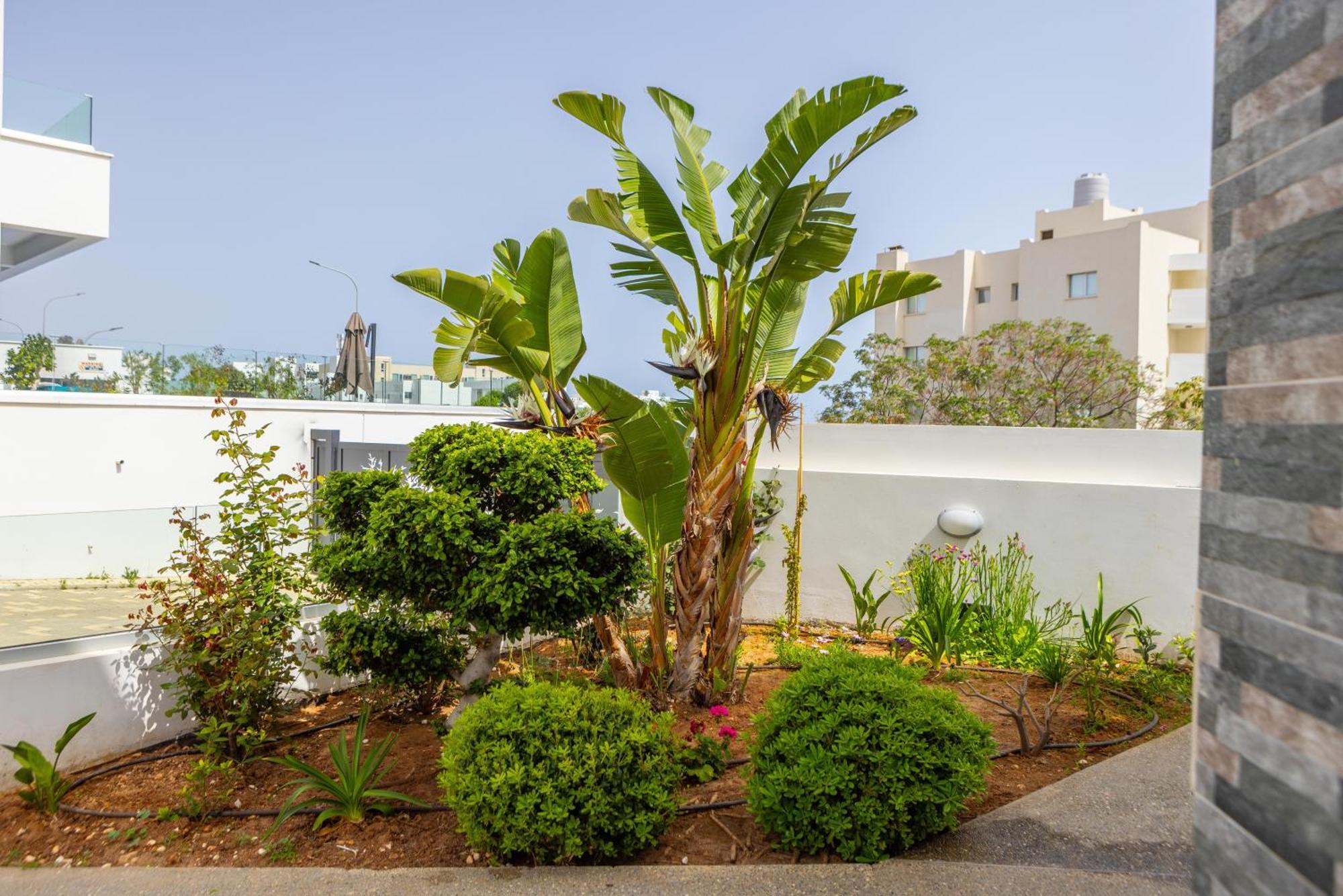 Villa Fig Tree Bay Residences 5 *